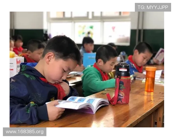 探索博宝娱乐的精彩世界与最新优惠活动